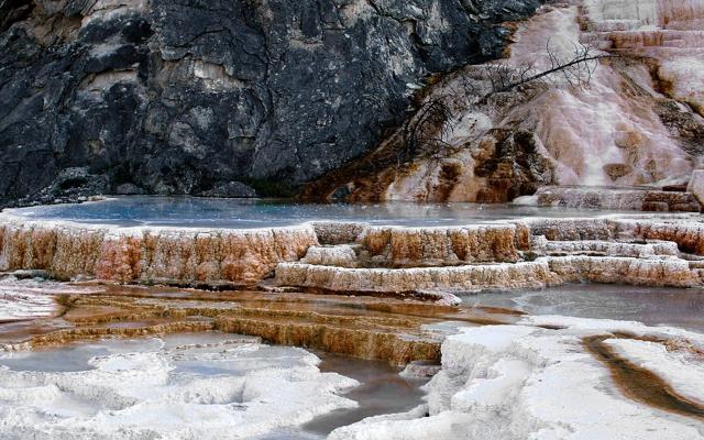 Mammoth Hot Springs